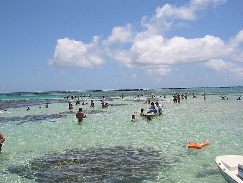 Vista do mar das Praias de Maragogi, com águas cristalinas e pessoas buscando peixes.