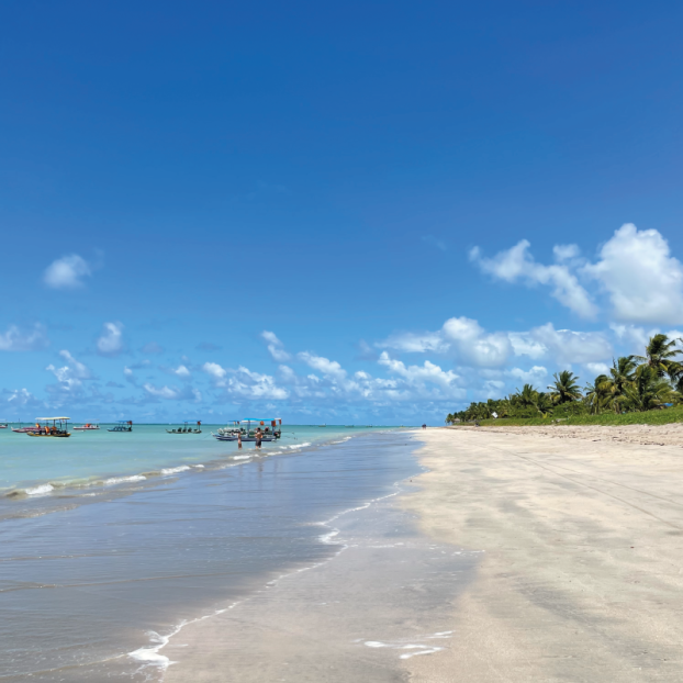 Vista de um caminho cercado que leva à praia em Milagres.